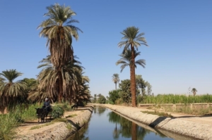 Naturpfade am Nil
